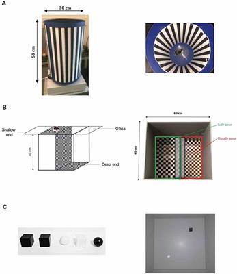 Visual Behavior Impairments as an Aberrant Sensory Processing in the Mouse Model of Fragile X Syndrome